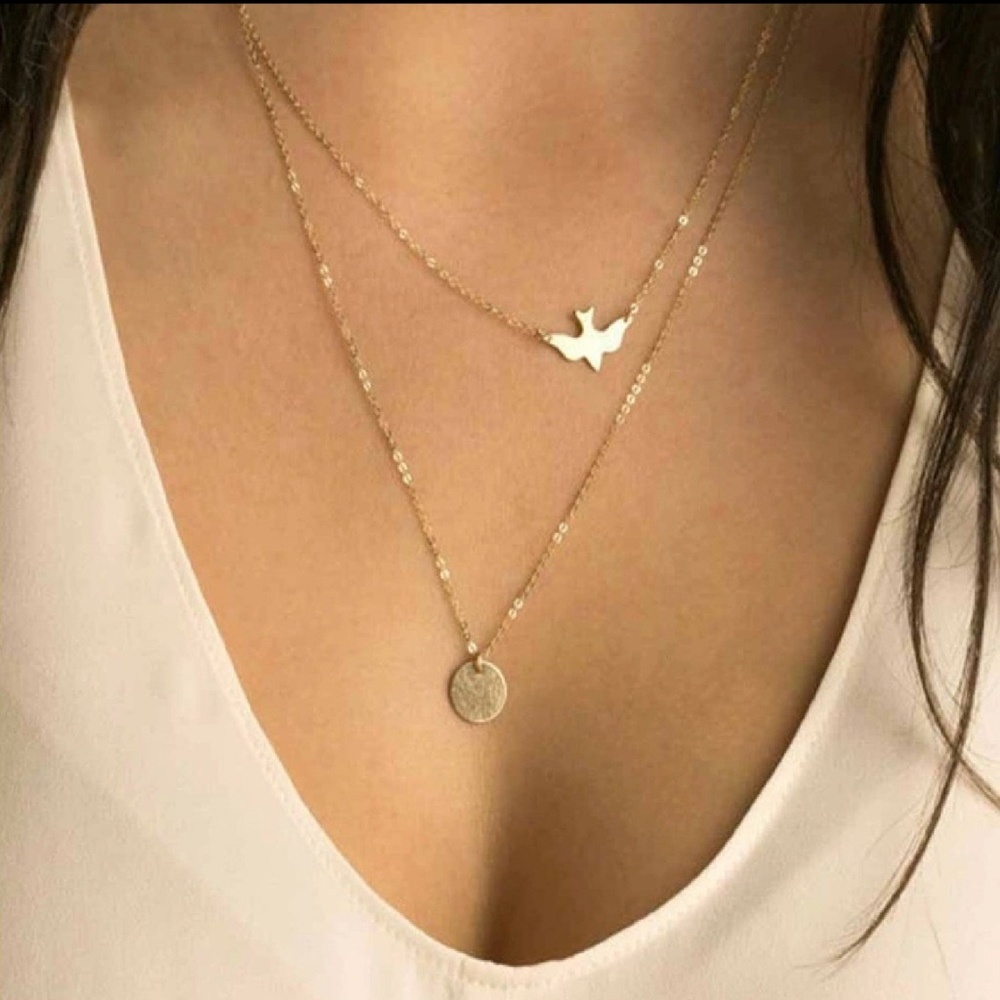 New ✳️ Gold Dove & Coin Layered Necklace